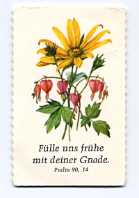 Ein Flei&szlig;k&auml;rtchen